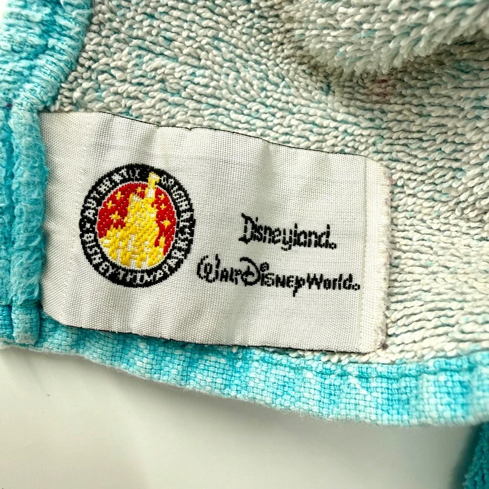 Disney parks beach